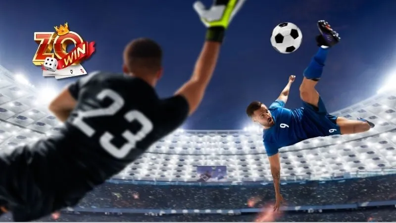 Hướng dẫn sử dụng sảnh thể thao saba sport